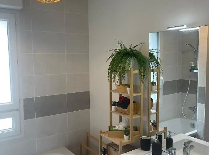 Des Cerisiers Saint-Nazaire (Loire-Atlantique)