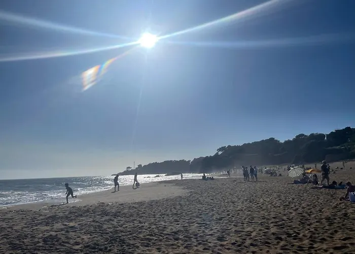 Des Cerisiers * Saint-Nazaire (Loire-Atlantique)