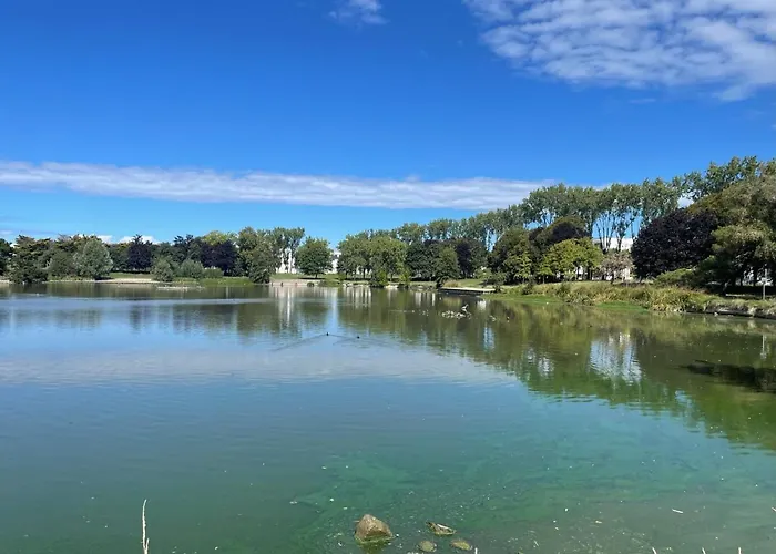 Des Cerisiers Saint-Nazaire (Loire-Atlantique)